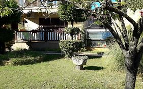 Apartman Darja
